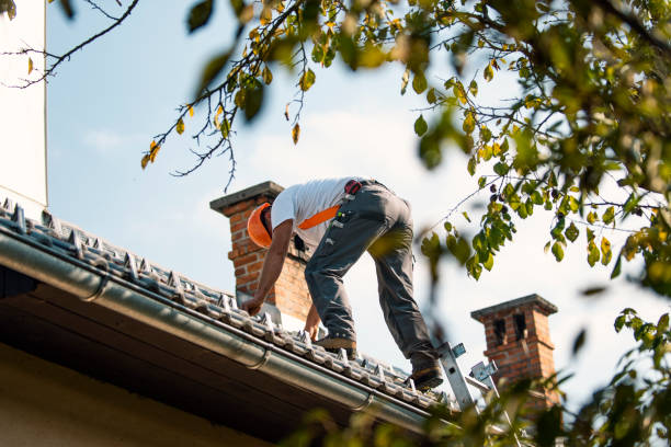 Best Metal Roofing Contractor  in St Georges, DE