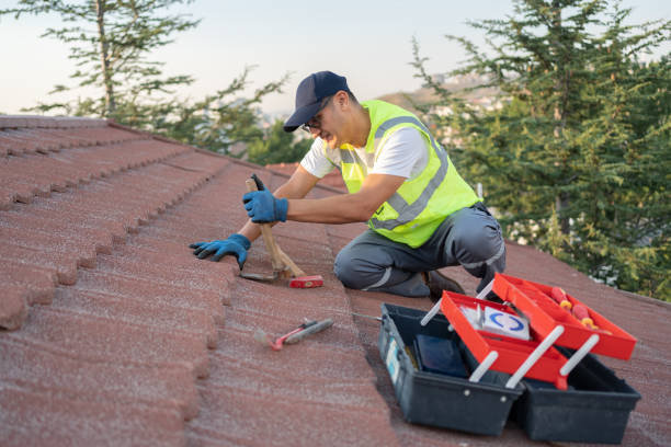 Best Shingle Roofing Installation  in St Georges, DE